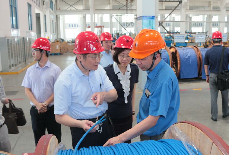2016年7月22日，瀘州市委常委、副市長王建翔一行來上上電纜參觀考察
