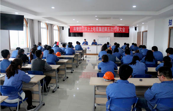 2016年4月20日，共青團江蘇上上電纜集團第五次代表大會召開