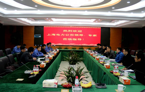 上海電力公司、上纜所領導、專家一行來上上電纜交流考察