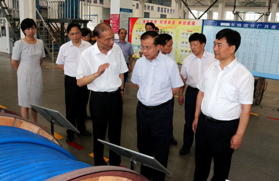 江蘇省副省長傅自應來上上集團視察