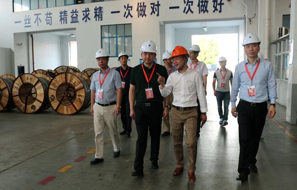 靖江市、溧陽市青商會齊聚上上電纜參觀交流