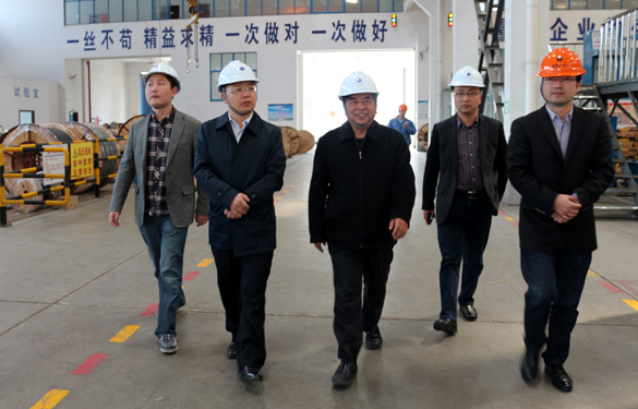 2015年3月26日，江蘇省射陽縣領導一行來上上電纜視察