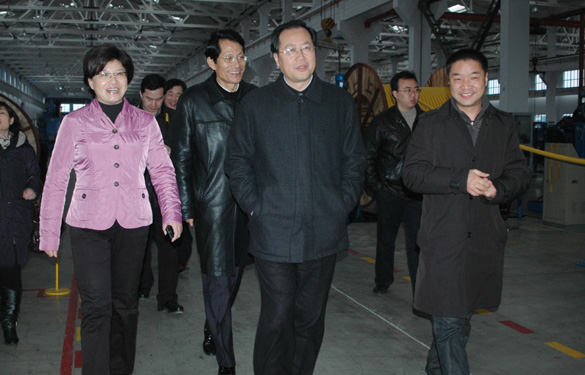 江蘇省發展和改革委員會主任、黨組書記毛偉明來上上集團視察