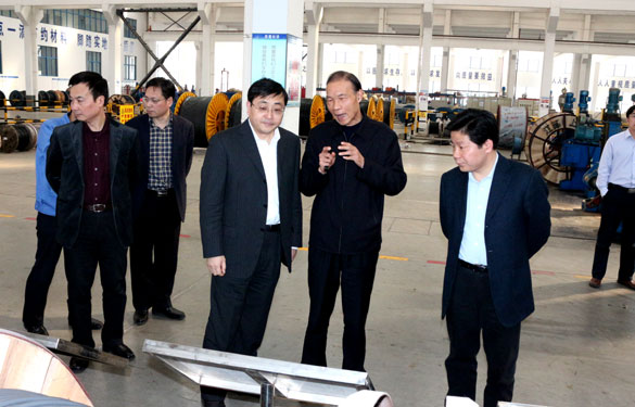 常州市委副書記、市政府黨組書記費高云來上上集團調研