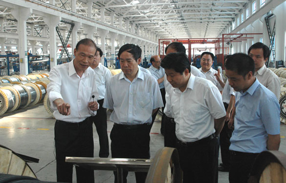 江蘇省省長助理、省科技廳廳長徐南平來上上集團調研